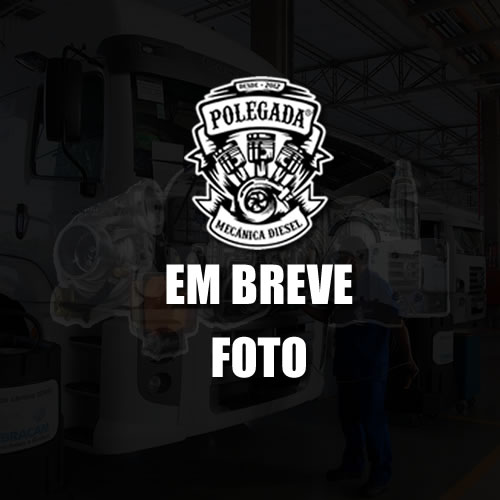 BOMBA DAGUA SCHADEK 20164